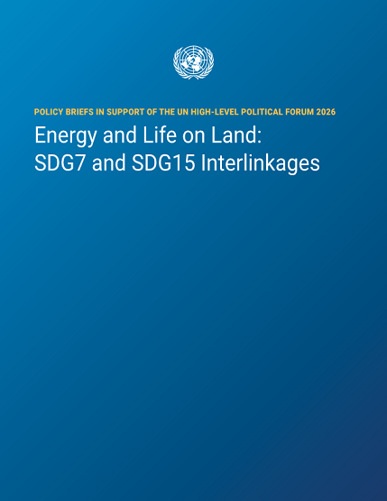 유엔 정책 브리프 : 에너지(SDG7)와 육상생태계(SDG15) 연관성 썸네일